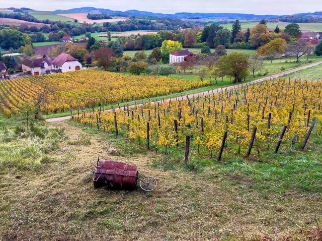 St-Lothain Jura vineyards
